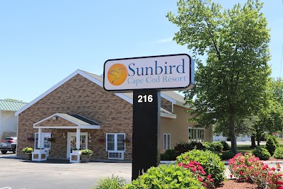 Photo 5 of Sunbird Cape Cod Resort