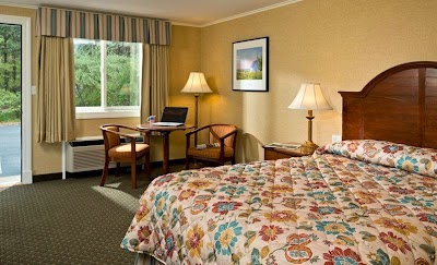 Photo 5 of Wellfleet Motel