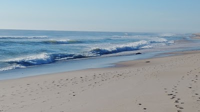 Photo 3 of Nauset Beach