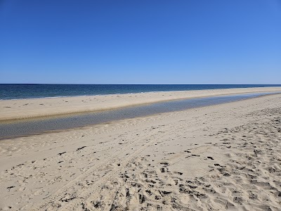 Photo 2 of Race Point Beach