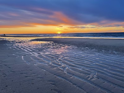 Photo 5 of Race Point Beach