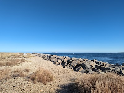 Photo 4 of Scusset Beach State Reservation