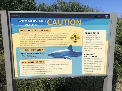 Photo 5 of Coast Guard Beach
