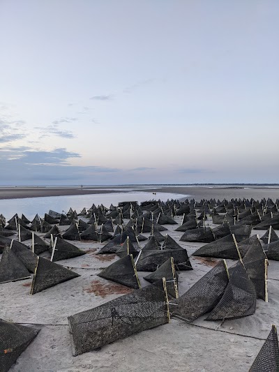 Photo 3 of Skaket Beach
