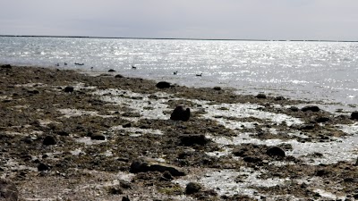 Photo 4 of Keyes Memorial Beach
