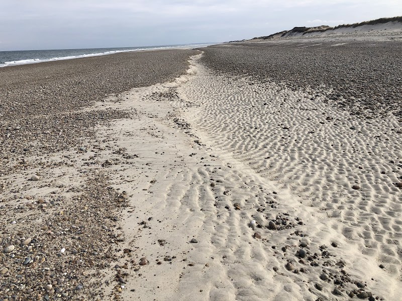 Photo of Sandy Neck Beach