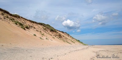 Photo 3 of Sandy Neck Beach