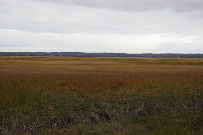 Photo 4 of Sandy Neck Beach