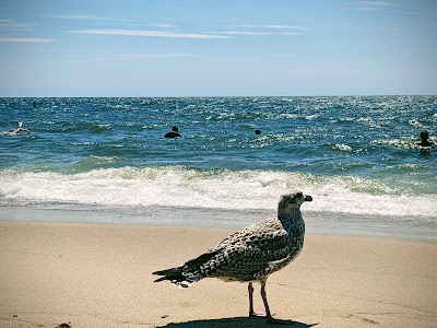 Photo 4 of Craigville Beach