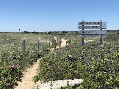 Photo 4 of South Cape Beach State Park
