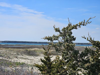 Photo 5 of South Cape Beach State Park