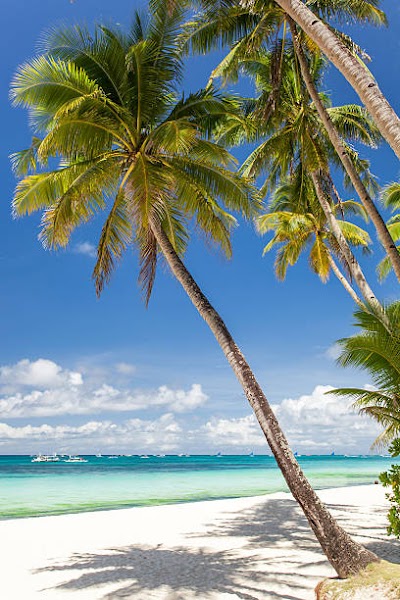 Photo 3 of Sea Street Beach