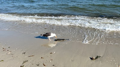 Photo 4 of Parkers River Beach