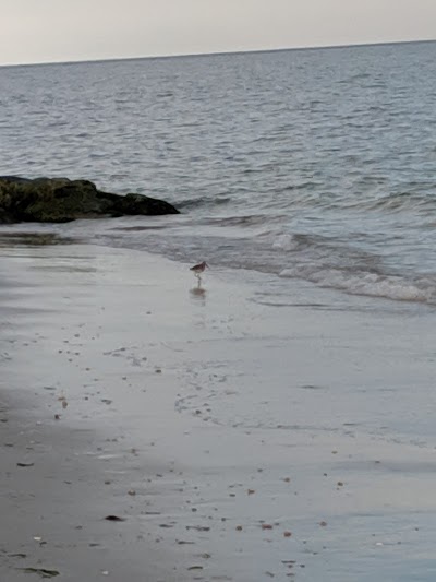 Photo 3 of South Middle Beach