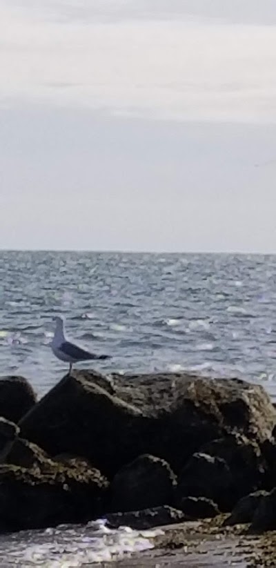 Photo 5 of South Middle Beach
