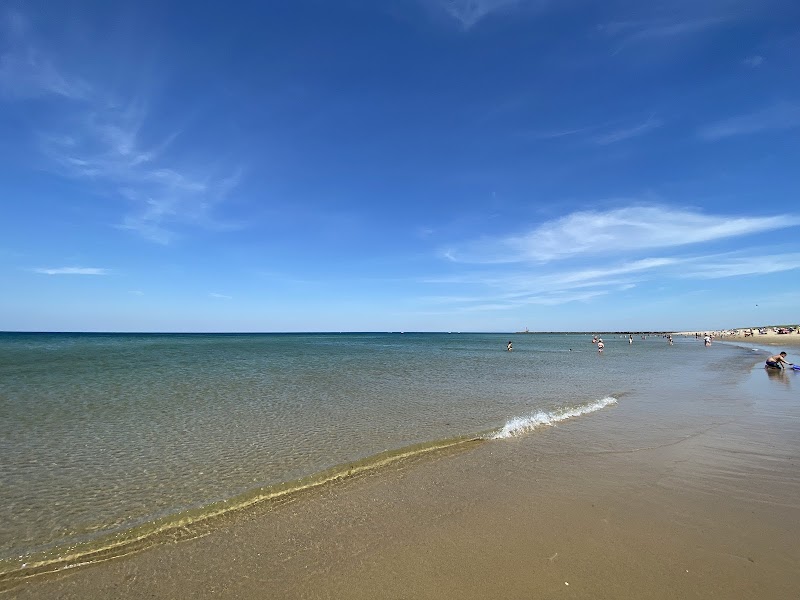 Photo of Scusset Beach
