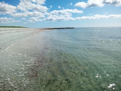Photo 5 of Seagull Beach