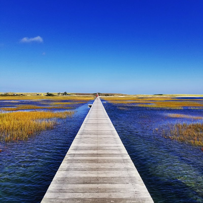 Photo of Town Neck Beach