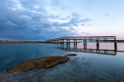 Photo 3 of Town Neck Beach