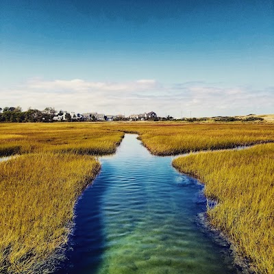 Photo 4 of Town Neck Beach