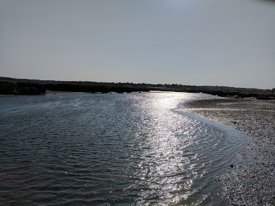 Photo 5 of Town Neck Beach