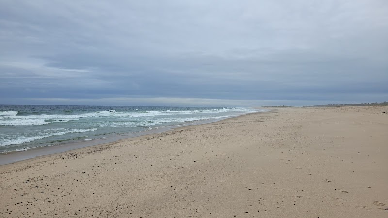 Photo of Orleans Beach