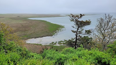 Photo 5 of Nauset Beach