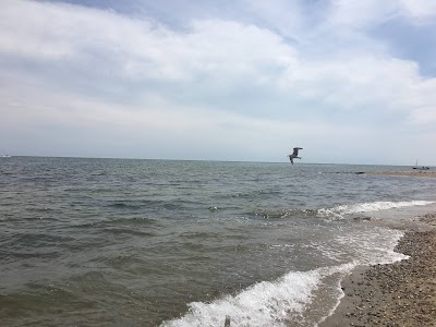 Photo 5 of Loop Beach