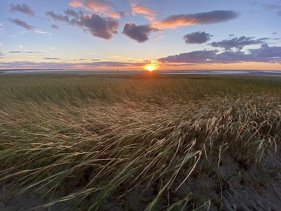 Photo 5 of Hatch Beach