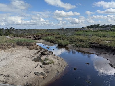 Photo 4 of Paine's Creek Beach