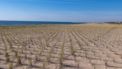 Photo 3 of Herring Cove Beach