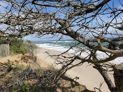 Photo 4 of Cahoon Hollow Beach