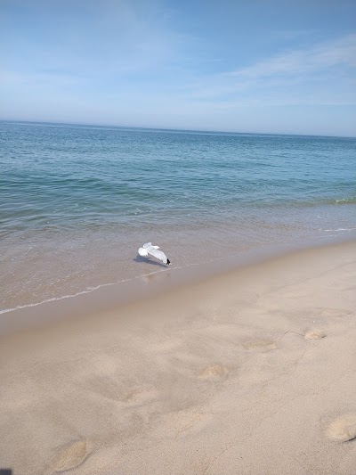 Photo 5 of Cahoon Hollow Beach