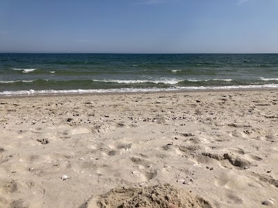 Photo 5 of Long Beach