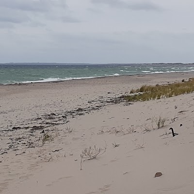 Photo 2 of East Sandwich Beach