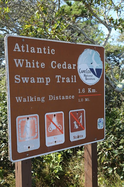 Photo 3 of White Cedar Swamp Trail