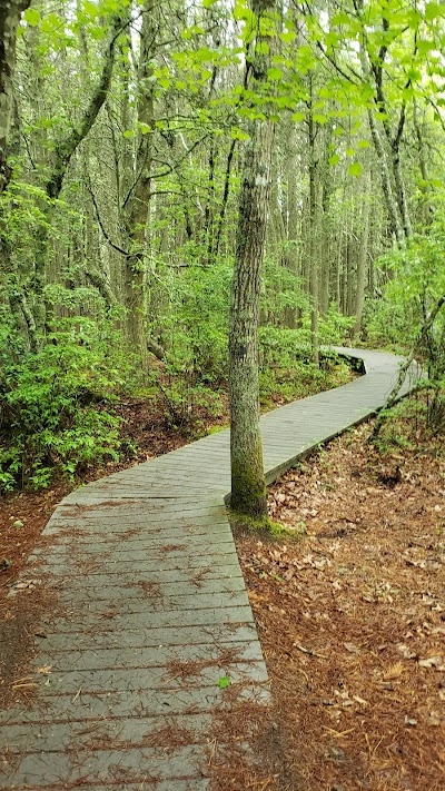 Photo 2 of White Cedar Swamp Trail