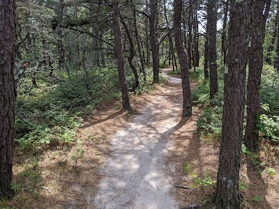 Photo 4 of White Cedar Swamp Trail