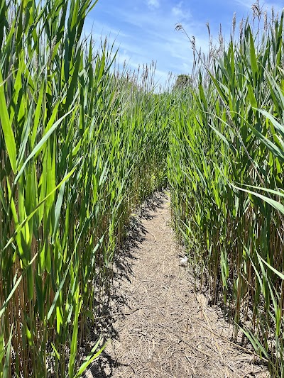 Photo 4 of Fort Hill Trail