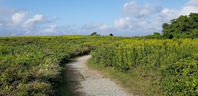 Photo 2 of Fort Hill Trail