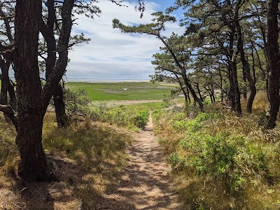 Photo 3 of Great Island