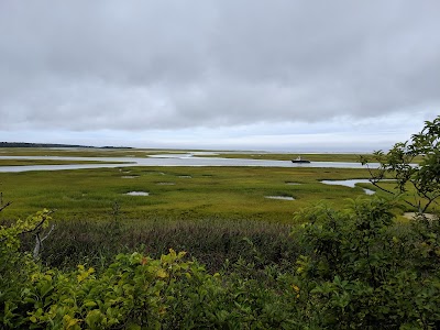 Photo 5 of Red Maple Swamp Trail