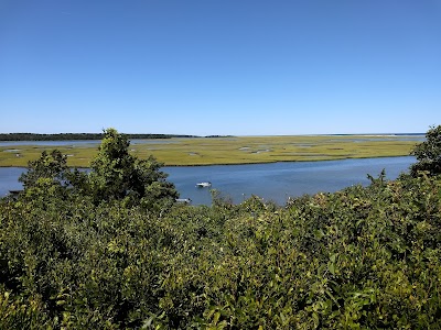 Photo 4 of Red Maple Swamp Trail
