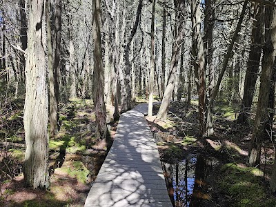Photo 2 of Red Maple Swamp Trail