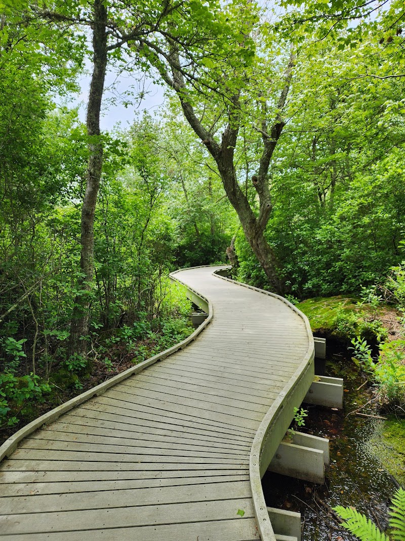 Photo of Red Maple Swamp Trail