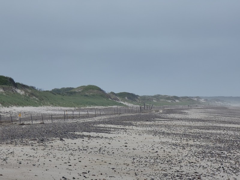 Photo of Sandy Neck Marsh Trail