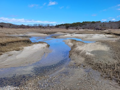 Photo 5 of Sandy Neck Marsh Trail