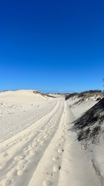 Photo 2 of Sandy Neck Marsh Trail