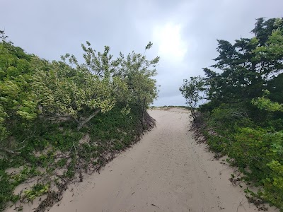 Photo 3 of Sandy Neck Marsh Trail