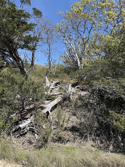 Photo 4 of Sandy Neck Marsh Trail